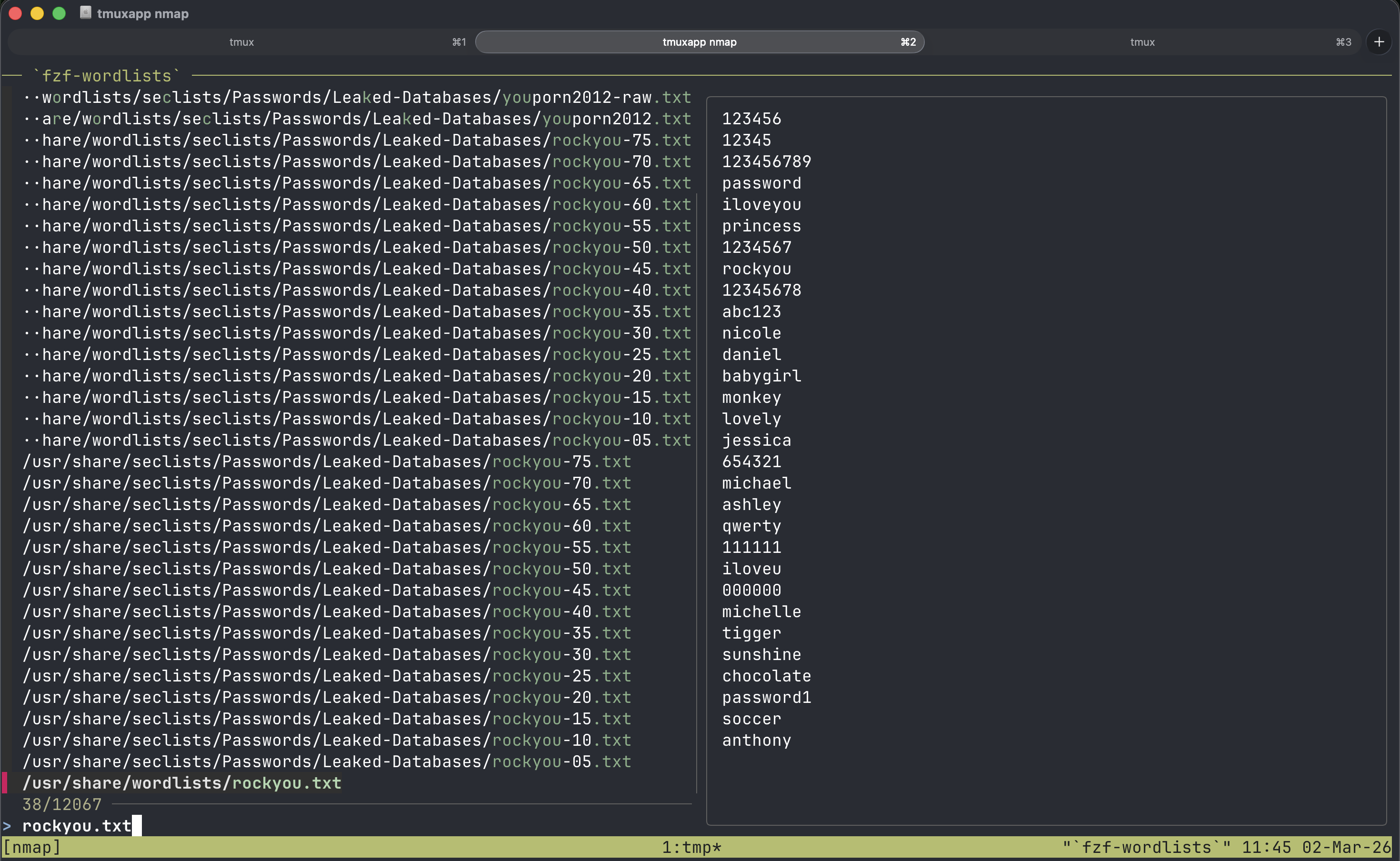 fzf-wordlists.png